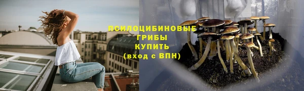 стафф Весьегонск