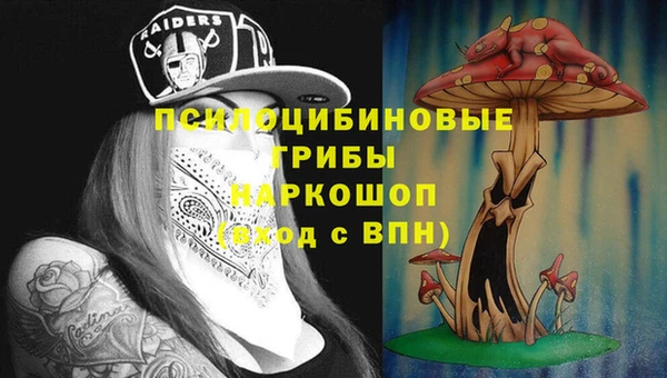 прущие крисы Приозерск