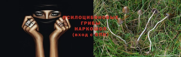СК Пролетарск