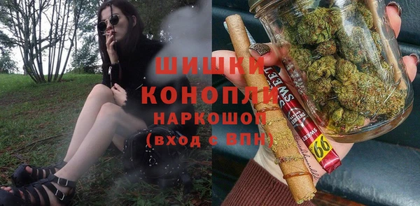 ПСИЛОЦИБИНОВЫЕ ГРИБЫ Аркадак