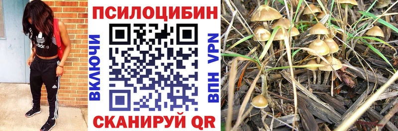 хочу наркоту  Белинский  Галлюциногенные грибы ЛСД 